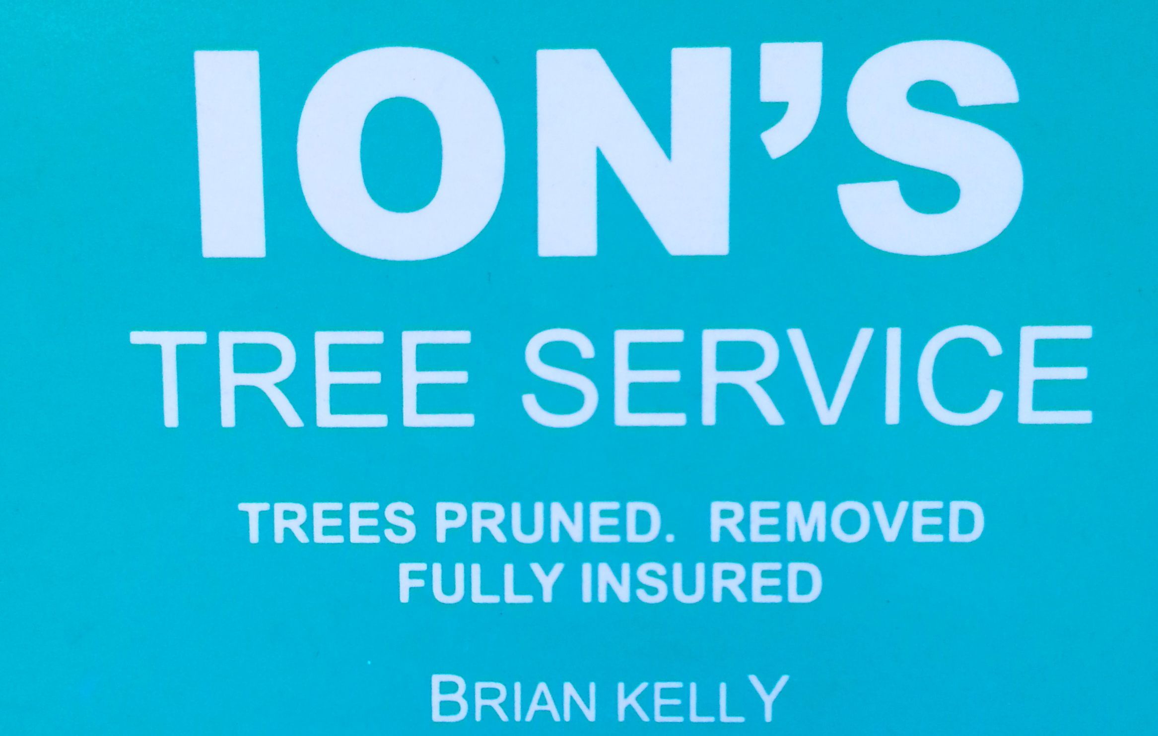 Ion's Tree Service