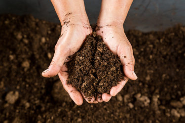 Top tips for improving the quality of your soil