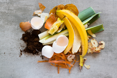 Clever ways to use your food scraps
