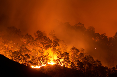 Is your home bushfire ready?