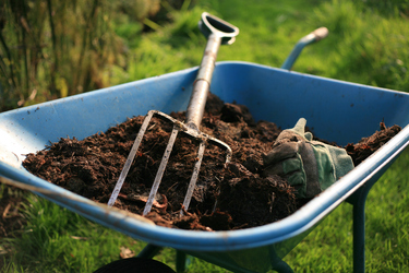 Mulching tips to help you save water