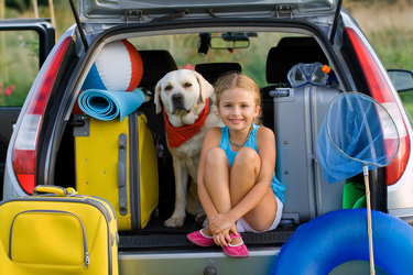Top tips for camping with pets this long weekend