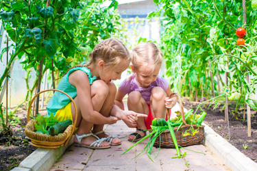 Yates callout for children with green thumbs