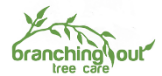 Branching Out Tree Care