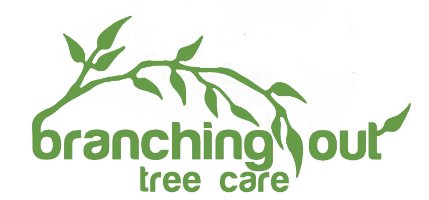 Branching Out Tree Care Company Logo by Branching Out Tree Care in Mandurah WA