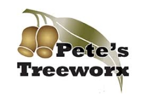 Company Logo by PETE'S TREEWORX in Furnisdale 