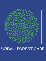 Tradie Urban Forest Care in Fremantle WA