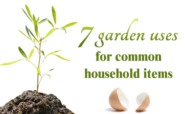 7 garden uses for common household items