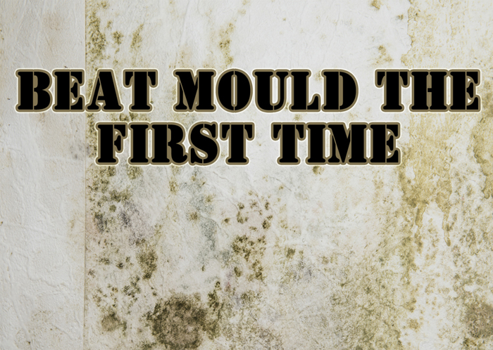 Kill Mould the First Time