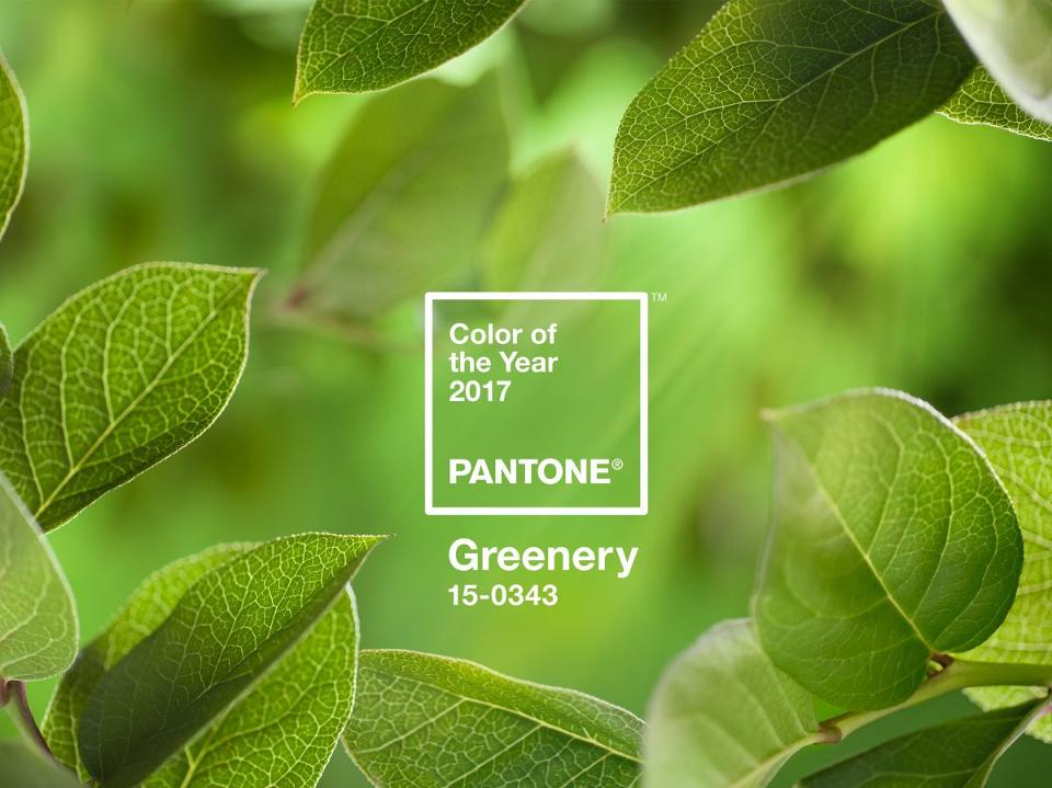 Pantone announces 2017’s Colour of the Year