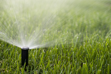 How long should you water your garden for?