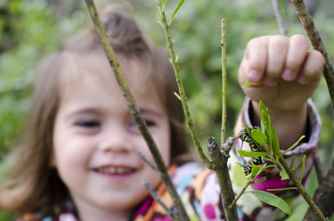 How to grow a fun and safe child friendly garden in Perth