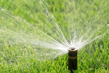 Perth sprinkler roster rules and top 10 suburbs breaching them