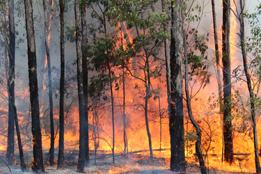 How to best design your new home to minimise bushfire risk